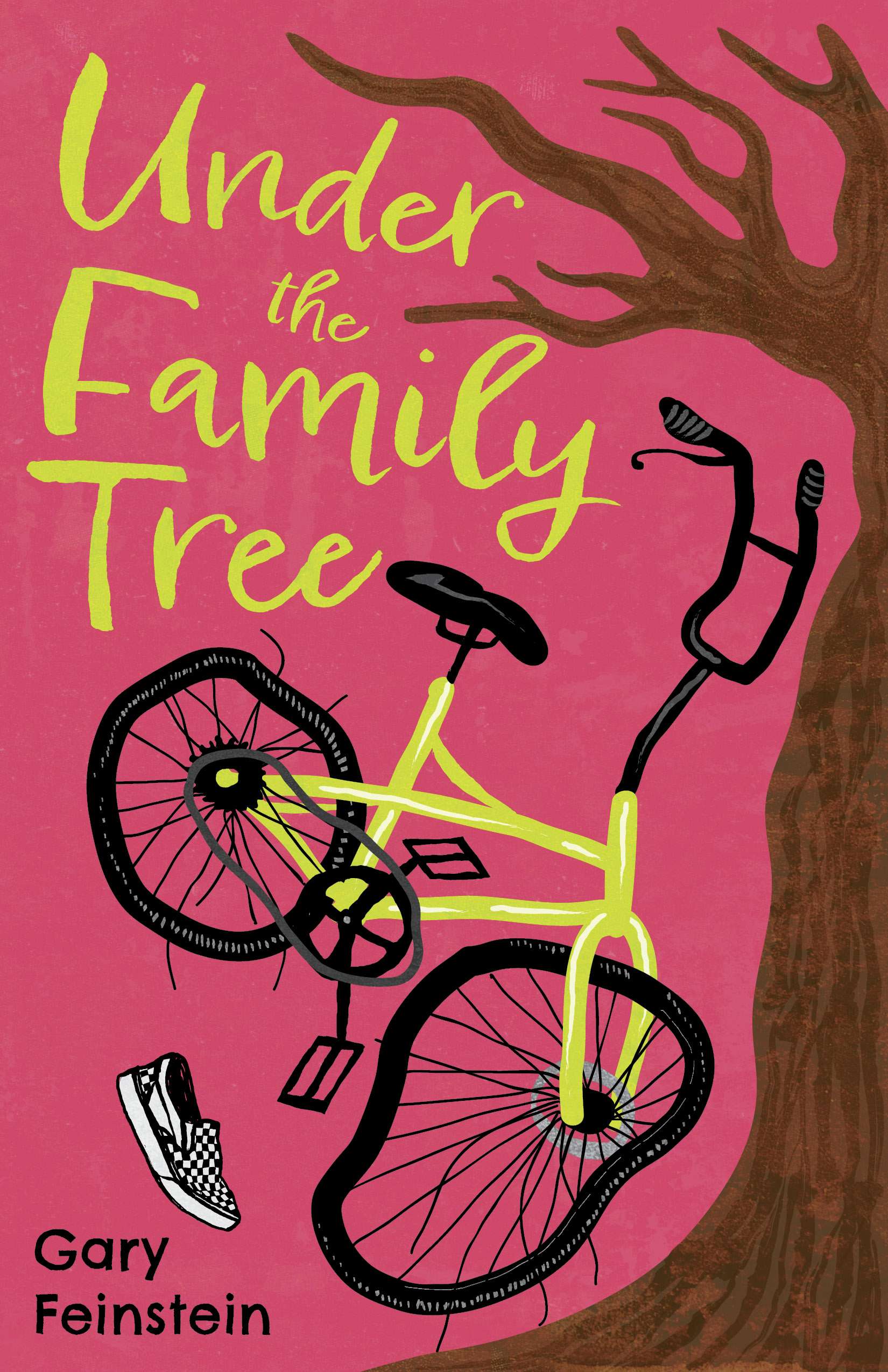 Higganum Author Publishes Young Adult Novel