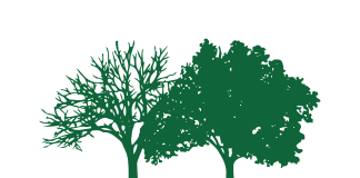 Rockfall Foundation Announces 2025 “Environmental Champion Award” Winners