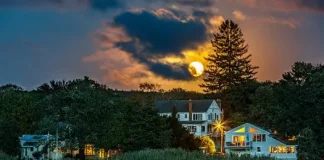 Spectrum Gallery Exhibit “Good Morning/Good Night” Opens March 21st