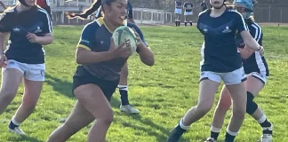 Carlee Harwood: Always on the Move