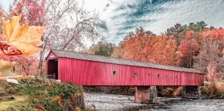 Spectrum Gallery Exhibit “Emerging Autumn” Opens September 19th