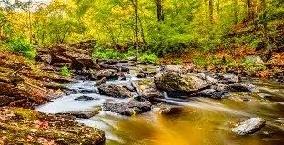 Autumn Arts Pop-Up at Spectrum Gallery October 11th and 12th