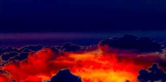 Spectrum Gallery Exhibit “Forces of Nature” Opens May 22nd