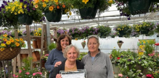 Haddam Business Spotlight: Plants, Flowers and Family at Town & Country Nursery