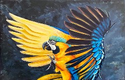 Spectrum Gallery Exhibit “Birds & Beasts” Opens July 17th